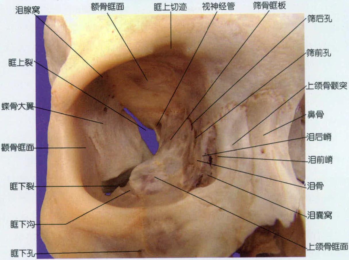 第一節(jié) 概述
